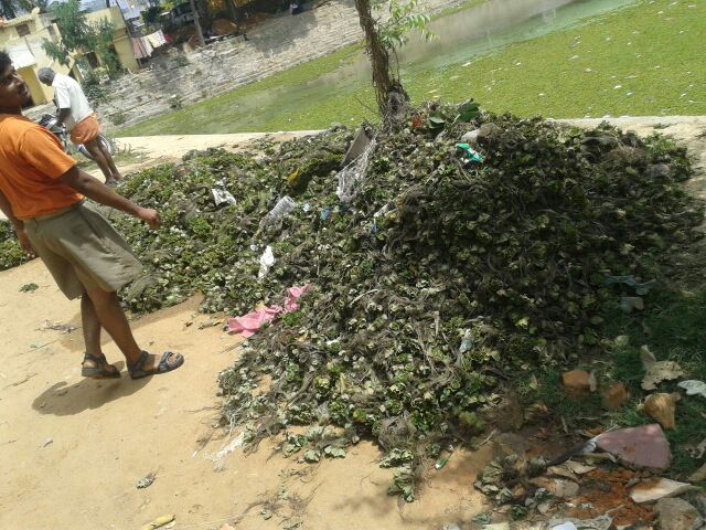 Kalyani cleaning at Kolar (3)
