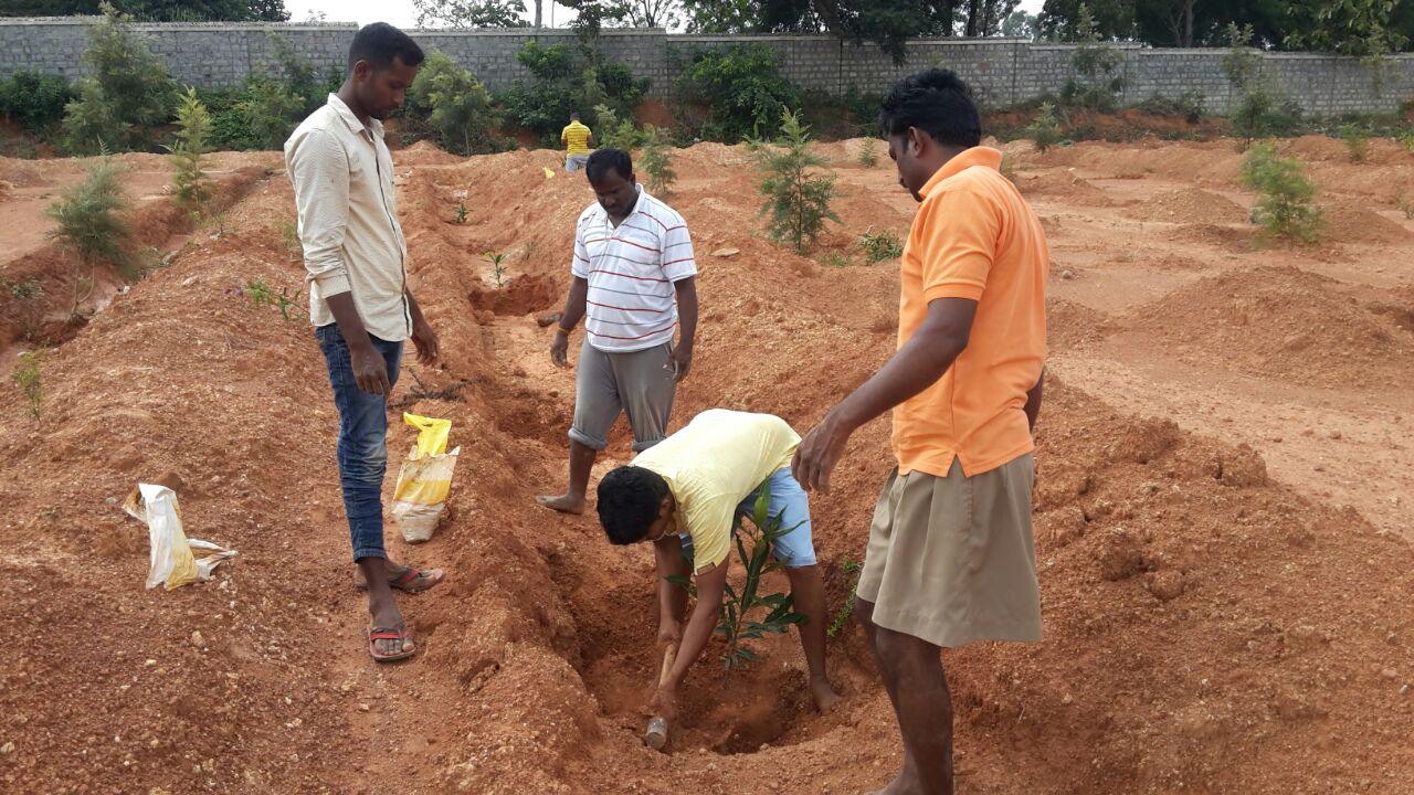 RSS observes Environment Day 2016 (17)