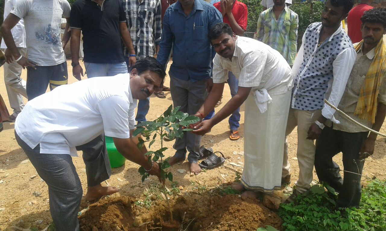 RSS observes Environment Day 2016 (25)