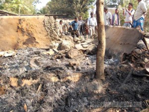 Bengal Attack Feb-19-2013 (22)