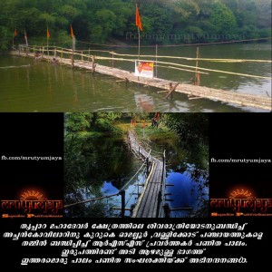 RSS Volunteers built bridge for Devotees in Kerala