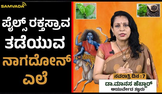 Navarathri | ಪೈಲ್ಸ್ ರಕ್ತಸ್ರಾವ ತಡೆಯುವ ನಾಗದೋನ್ ಎಲೆ । ಡಾ.ಮಾನಸ ಹೆಬ್ಬಾರ್ ,ಆಯುರ್ವೇದ ತಜ್ಞರು